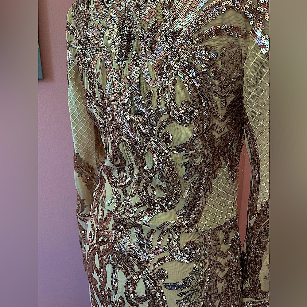 Betsy & Adam elegant vintage glamour long sleeve Sequined Gown in Champagne, 8 - Picture 7 of 12